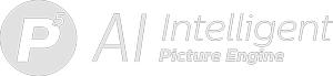Picture Engine logotip